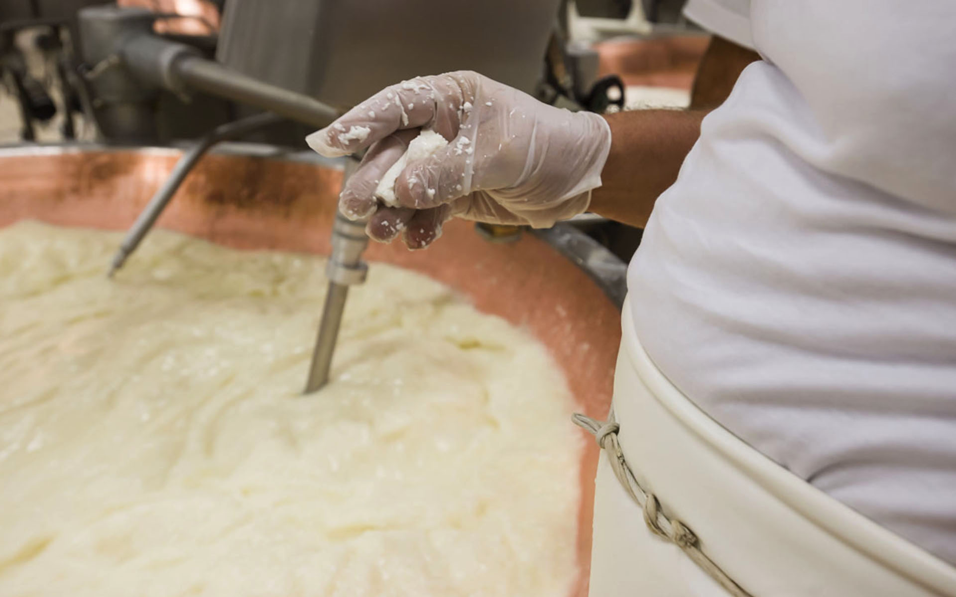 L'immagine mostra un operatore che lavora con il latte in un ampio calderone di rame, tipico della produzione casearia. L'operatore indossa una maglietta bianca e un grembiule chiaro legato in vita. Indossa guanti in plastica trasparente per motivi igienici. La sua mano destra tiene uno strumento metallico per mescolare o controllare il processo, mentre nell’altra mano tiene un piccolo campione del prodotto lavorato, visibilmente umido e granuloso.
Il calderone, di grandi dimensioni, è pieno di una massa biancastra, probabilmente cagliata in fase di lavorazione. Sullo sfondo si intravedono tubature metalliche e apparecchiature che fanno parte del sistema di produzione, contribuendo a un'atmosfera di operosità e precisione. L'ambiente è ben illuminato, evidenziando le superfici lucide e i dettagli del processo produttivo.