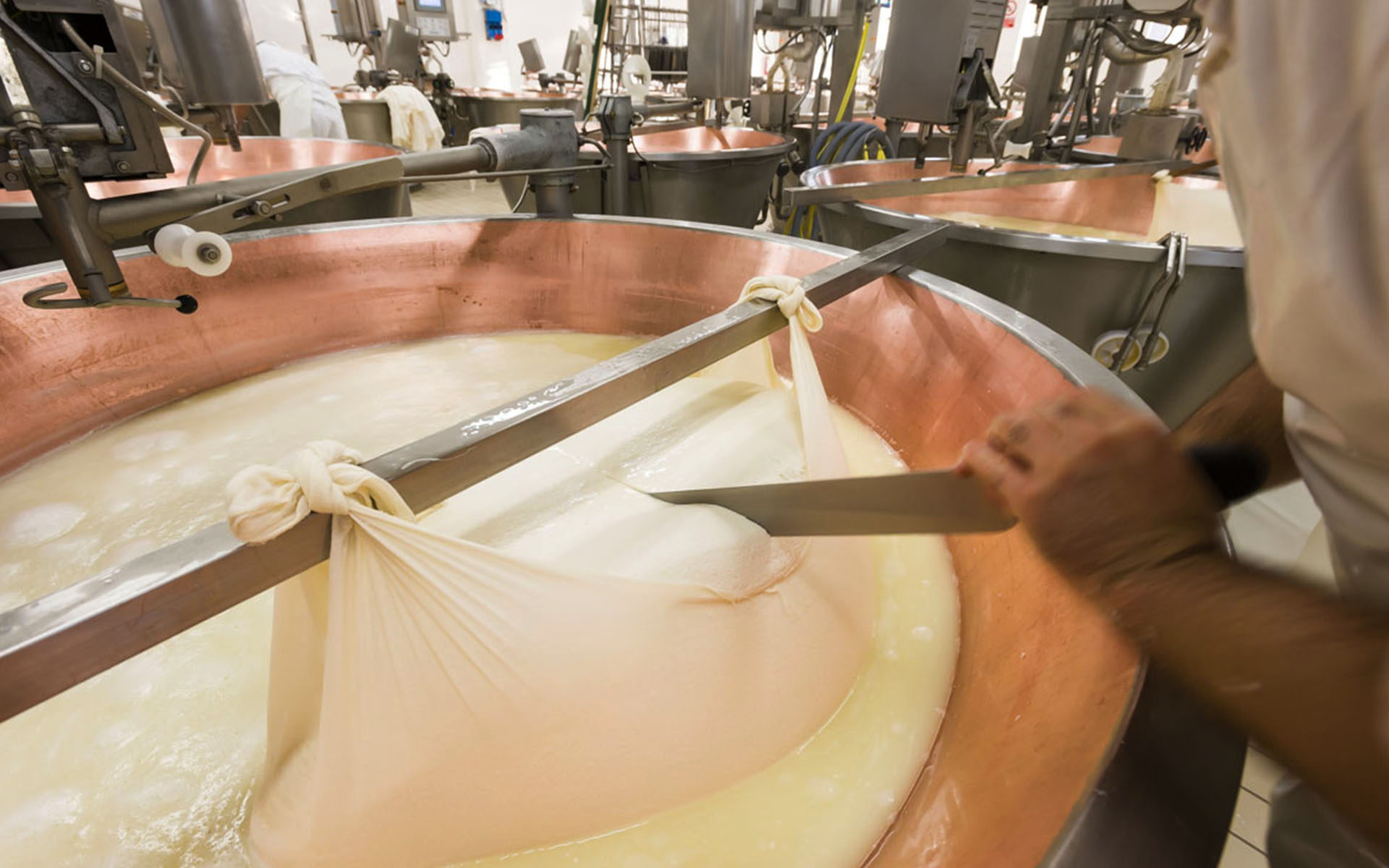 L'immagine mostra un caseificio in attività, concentrato sulla produzione del formaggio. In primo piano, un grande calderone di rame contiene una massa cremosa, presumibilmente latte in fase di cagliatura. Due lembi di un panno bianco sono legati a una barra metallica sopra il calderone, formando una sorta di grande sacca che raccoglie il cagliato.
Un operatore, visibile solo parzialmente, utilizza un largo coltello o spatola per gestire il contenuto. La mano dell'operatore è salda sull'impugnatura, mentre il braccio si appoggia sul bordo del calderone.
Intorno al calderone, lo spazio è occupato da altri attrezzi usati nel processo di produzione casearia. Sullo sfondo, si vedono ulteriori calderoni allineati, anch'essi utilizzati per la produzione del formaggio. Vari macchinari con tubature e attrezzature tecnologiche completano l'ambiente, caratterizzato da un'organizzazione efficiente e pulizia.
L'intera scena è ben illuminata, con le superfici metalliche che riflettono la luce, accentuando un'atmosfera di precisione e ordine nel processo tradizionale di produzione casearia.