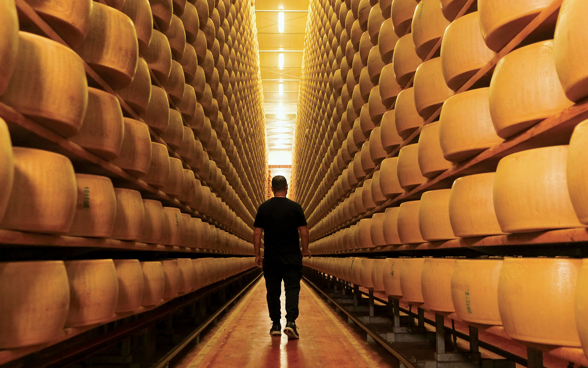 L’immagine raffigura un lungo corridoio in un magazzino, probabilmente adibito alla stagionatura di forme di formaggio. Le pareti laterali del corridoio sono costituite da scaffalature alte e robuste, sulle quali sono impilate in modo ordinato e simmetrico centinaia di forme di formaggio. Ogni scaffale contiene precise file di queste forme, disposte orizzontalmente su diversi livelli. Ogni forma di formaggio è grande e di colore dorato, tipico del formaggio stagionato, con una crosta dura e liscia su cui si notano lievi incisioni o marchi. Il corridoio sembra essere molto lungo, con la prospettiva che converge verso un punto lontano, creando un senso di profondità impressionante. Al centro del corridoio, c'è una persona che cammina lontano dall’osservatore, indossando abbigliamento casual di un colore scuro. L’illuminazione è chiara e brillante, proveniente da lampade posizionate al soffitto, che illuminano in modo uniforme l'intero spazio, facendo risaltare la tonalità calda delle forme di formaggio. L’atmosfera generale suggerisce cura e ordine, caratteristiche tipiche di un luogo dedicato alla conservazione e maturazione del formaggio.