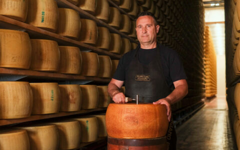 L’immagine ritrae l’interno di un magazzino di stagionatura del Parmigiano Reggiano, catturato con una luce calda e soffusa. La scena si svolge in un corridoio molto profondo e stretto, delimitato su entrambi i lati da scaffali in legno scuro, massicci e resistenti, che si sviluppano per tutta la lunghezza visibile. Ogni scaffale ospita, su più livelli sovrapposti, grandi forme intere di Parmigiano Reggiano, appoggiate su ripiani orizzontali. Le forme sono numerose e perfettamente allineate, con la superficie bombata e regolare, tutte dello stesso classico colore giallo dorato intenso. Su ciascuna, sono impressi a fuoco scritte, date, sigle e marchi tipici del Parmigiano, a volte leggibili, a volte sfumati dal tempo. Al centro dell’immagine, in primo piano, c’è una persona – probabilmente un casaro o un addetto alla stagionatura – posizionato davanti a una forma di formaggio. L’uomo indossa una maglietta nera e un grembiule nero che porta, all’altezza del petto, una toppa rettangolare con la scritta dorata “PARMIGIANO REGGIANO”. Ha una postura eretta, lo sguardo rivolto in avanti e un’espressione seria ma composta. Le sue braccia sono leggermente piegate e appoggiate sulla forma di Parmigiano che si trova immediatamente di fronte, poggiata su un robusto piano cilindrico in legno scuro. L’addetto stringe con una mano un attrezzo corto – simile a un punteruolo o a uno strumento da controllo qualità – conficcato al centro della parte superiore della forma di formaggio. La forma, vista dall’alto e in primo piano, mostra scritte chiaramente leggibili: nella parte superiore c’è una fila di numeri (“2871”), appena più in basso il timbro a fuoco ovale del consorzio Parmigiano Reggiano, la dicitura DOP, altre sigle e una possibile data (“MAR 17”). La superficie è ruvida, opaca, con la tipica tessitura naturale del Parmigiano stagionato. Lo sfondo si perde nella profondità del corridoio, con le file di forme di formaggio che continuano in prospettiva fino a una fonte di luce naturale molto intensa e bianca, che illumina la zona sul fondo e create un effetto galleria, quasi rituale. La luce laterale sottolinea la doratura delle forme, creando aree di ombra e luce che ne esaltano le rotondità e lo spessore. Sintesi sensoriale e atmosfera: L’ambiente appare silenzioso, ordinato e ricco di tradizione. L’insieme delle forme in invecchiamento, unite alla presenza dell’addetto, trasmette un senso profondo di artigianalità, cura e rispetto per la materia prima. I materiali predominanti sono il legno scuro degli scaffali e il colore dorato delle forme di Parmigiano, rendendo l’ambiente caldo e intimo. L’aria sembra carica dell’odore unico di formaggio stagionato, mentre la scena suggerisce una paziente attesa e professionalità.